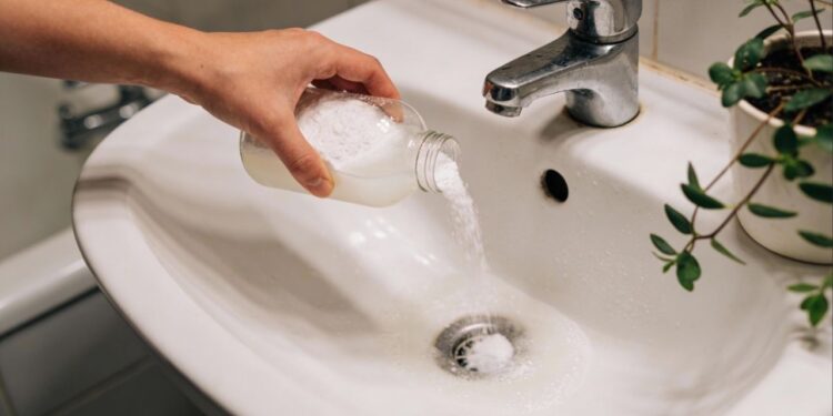 Dê adeus às baratas do ralo: a solução natural que age no encanamento sem usar inseticidas