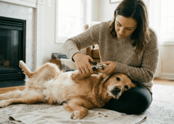 cortar unha de cachorro