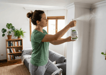 Casca de laranja contra aranhas: veja como esse truque natural ajuda a afastar visitas indesejadas