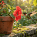 Beija-flores no jardim: quais flores que eles adoram e como plantá-las