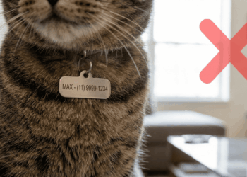 Adeus às etiquetas barulhentas: a nova tendência para identificar seu animal em 2026