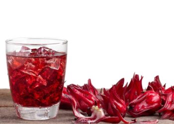 Você bebe o chá de hibisco certo? Conheça a vinagreira e seus benefícios impressionantes para a saúde