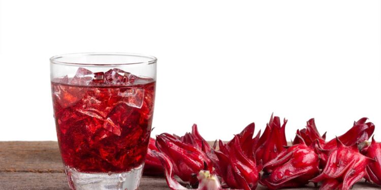 Você bebe o chá de hibisco certo? Conheça a vinagreira e seus benefícios impressionantes para a saúde