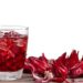 Você bebe o chá de hibisco certo? Conheça a vinagreira e seus benefícios impressionantes para a saúde