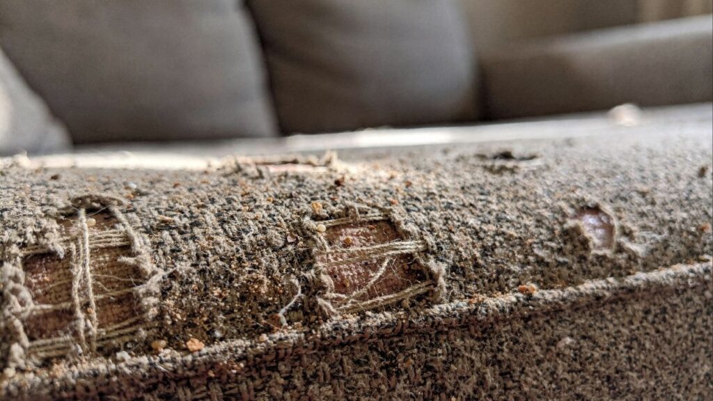 O sofá típico dos anos 90 que acumula poeira invisível e piora crises de alergia dentro de casa