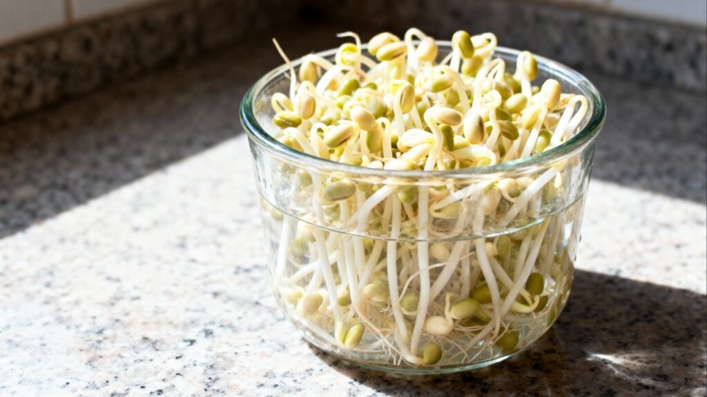 Pouca gente sabe, mas esse alimento pode ser cultivado dentro da cozinha