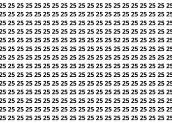 Encontre o número 25 entre vários números 52 em apenas 10 segundos neste desafio