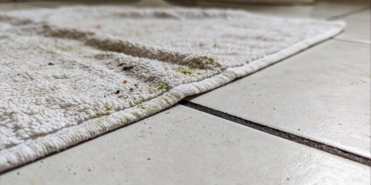 Usar tapete de pano no banheiro: entenda por que isso acumula sujeira e mau cheiro e como evitar fungos no piso