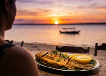O Caribe da Amazônia onde praias de areia branca surgem no meio da floresta e a água é totalmente doce