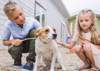 criança com animais