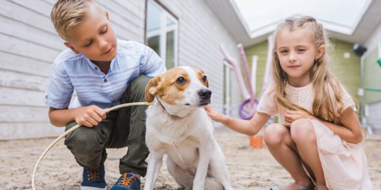 criança com animais