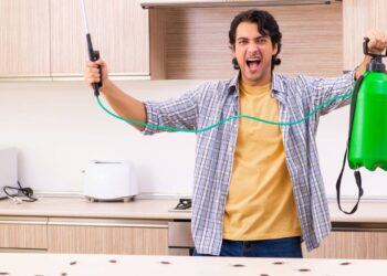 Cinco locais da casa onde baratas aparecem e como aplicar receita caseira com bicarbonato para elimina-las