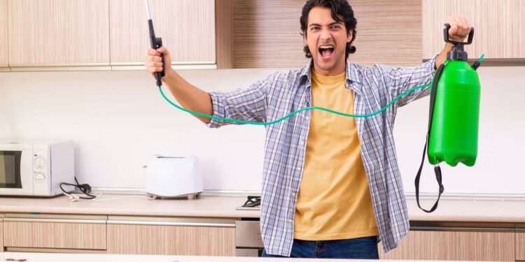 Cinco locais da casa onde baratas aparecem e como aplicar receita caseira com bicarbonato para elimina-las