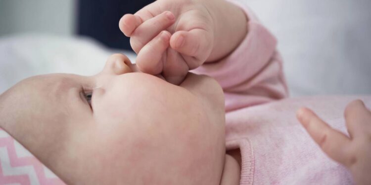 Delicadeza com presença: os nomes que surpreendem pela força