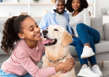 Como organizar o dia do cachorro para reduzir a agitação noturna