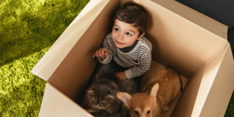 Vídeo mostra momento delicado entre vira-lata e bebê e emociona redes sociais