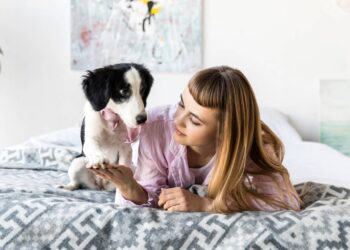 O que o seu cachorro quer dizer quando encosta a pata em você