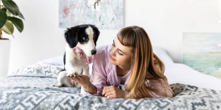 O que o seu cachorro quer dizer quando encosta a pata em você