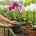 Flores duradouras: cuidados simples que salvam suas orquídeas de murchar rapidamente