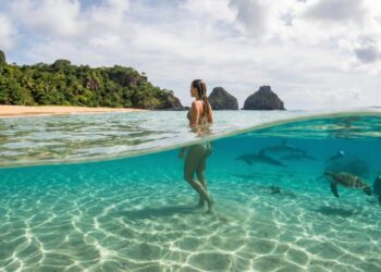 O paraíso pernambucano onde os brasileiros acordam com golfinhos mergulham com tartarugas e veem o mar mudar de cor