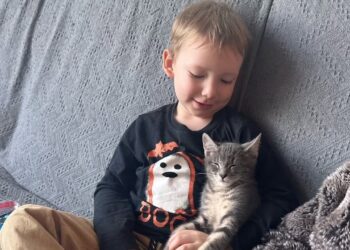 Criança e gato adotado mostram como a adoção transforma vínculos familiares