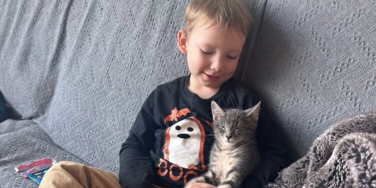 Criança e gato adotado mostram como a adoção transforma vínculos familiares