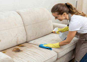 Vinagre, bicarbonato ou detergente: receita caseira que limpa sofá em 5 minutos