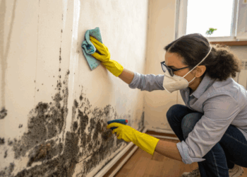 O mofo pode estar se espalhando sem que você perceba e esta receitas caseiras ajudam a limpar