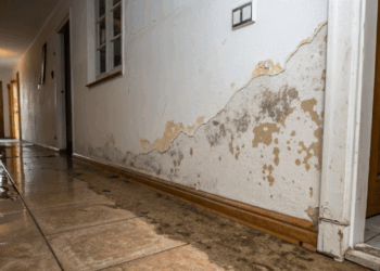 Saiba como evitar infiltração em sua casa antes que o problema vire uma obra cara