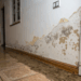 Saiba como evitar infiltração em sua casa antes que o problema vire uma obra cara