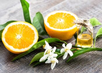 Chá de folha de laranjeira: aprenda a receita ideal e os cuidados necessários para consumir com segurança