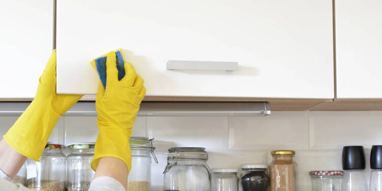 De manchas a gordura: como o vinagre resolve problemas que produtos caros não conseguem