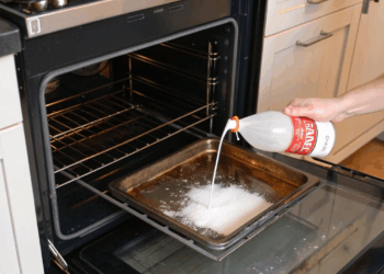 Como limpar o forno em 10 minutos e evitar produtos químicos fortes com misturinha mágica