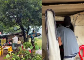 Depois de 9 anos vivendo nas ruas, homem ganha uma casa sem precisar abandonar seus cães