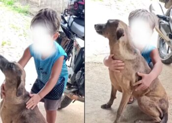 Menino emociona ao abraçar cachorrinha e chamar de “meu amor”