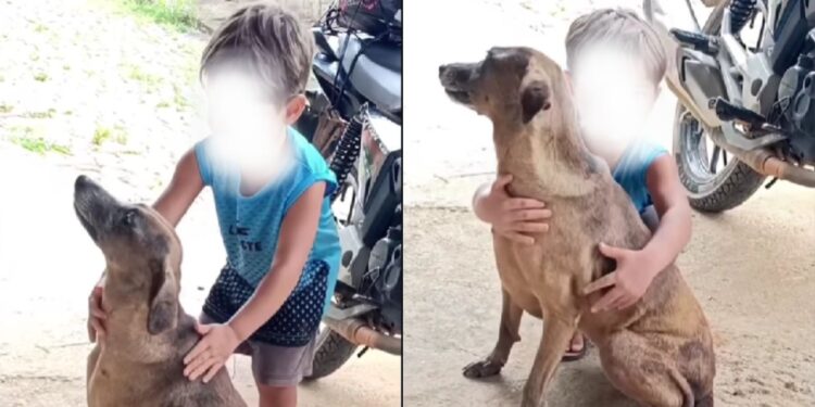 Menino emociona ao abraçar cachorrinha e chamar de “meu amor”