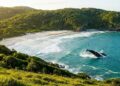 Eleita uma das praias mais bonitas do planeta essa faixa de areia brasileira tem baleias à vista do público