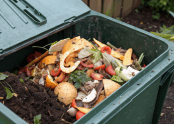 Como restos de cozinha podem dobrar o tamanho de suas plantas em semanas