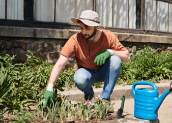 Sol, sombra ou meia-sombra? Acerte no lugar ideal para sua planta