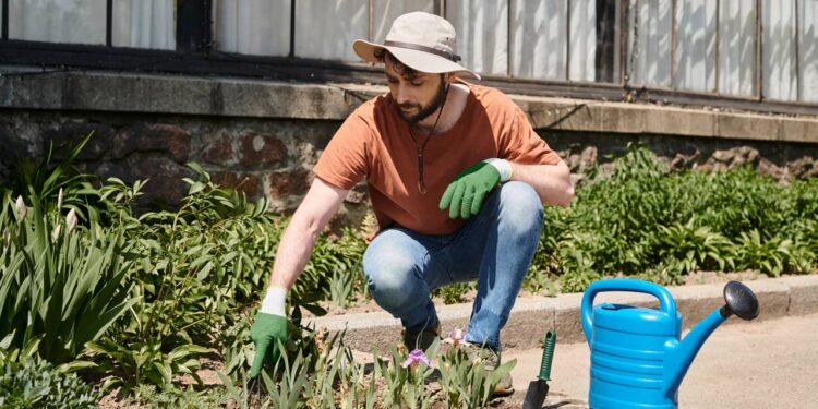 Sol, sombra ou meia-sombra? Acerte no lugar ideal para sua planta