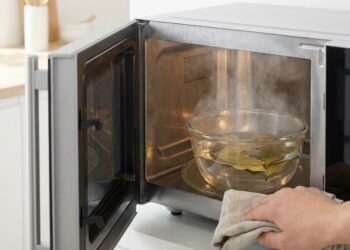 Coloque algumas folhas de louro no micro-ondas: para que serve e com que frequência deve ser feito