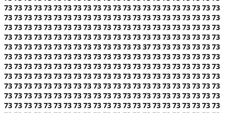 37 camuflado entre 73, você consegue encontrá-lo em 5 segundos?
