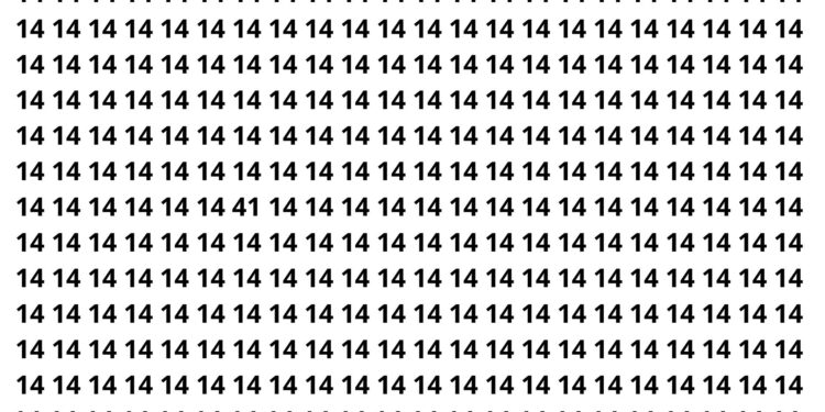 Encontre o número oculto entre dezenas de 14 e junte-se aos 25% que conseguem