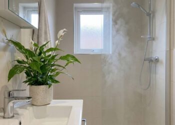 5 plantas que ajudam a evitar mofo no banheiro pequeno, sobrevivem com pouca luz e reduzem o cheiro de umidade