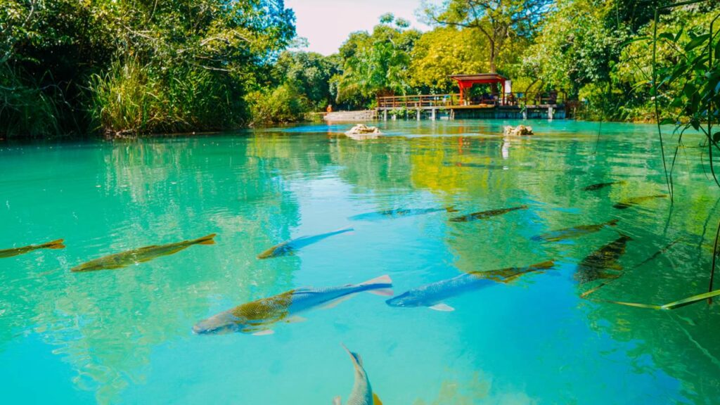 O paraíso eleito 18 vezes o melhor destino do Brasil com rios de águas transparentes a 40 metros de profundidade