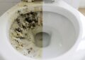 Como lavar manchas amarelas de vaso sanitário: é só despejar isso e deixar branco como novo