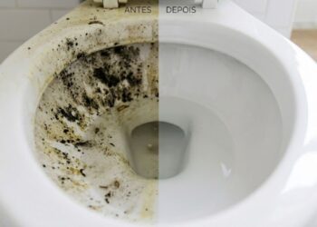 Como lavar manchas amarelas de vaso sanitário: é só despejar isso e deixar branco como novo
