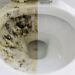 Como lavar manchas amarelas de vaso sanitário: é só despejar isso e deixar branco como novo