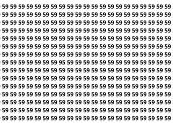 Encontrar o 95 entre vários 59 parece simples mas exige concentração total