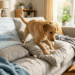 As mudanças simples no ambiente que eliminam a ansiedade do cão e salvam os móveis da sua sala de estar